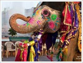 Elephant Festival, Jaipur